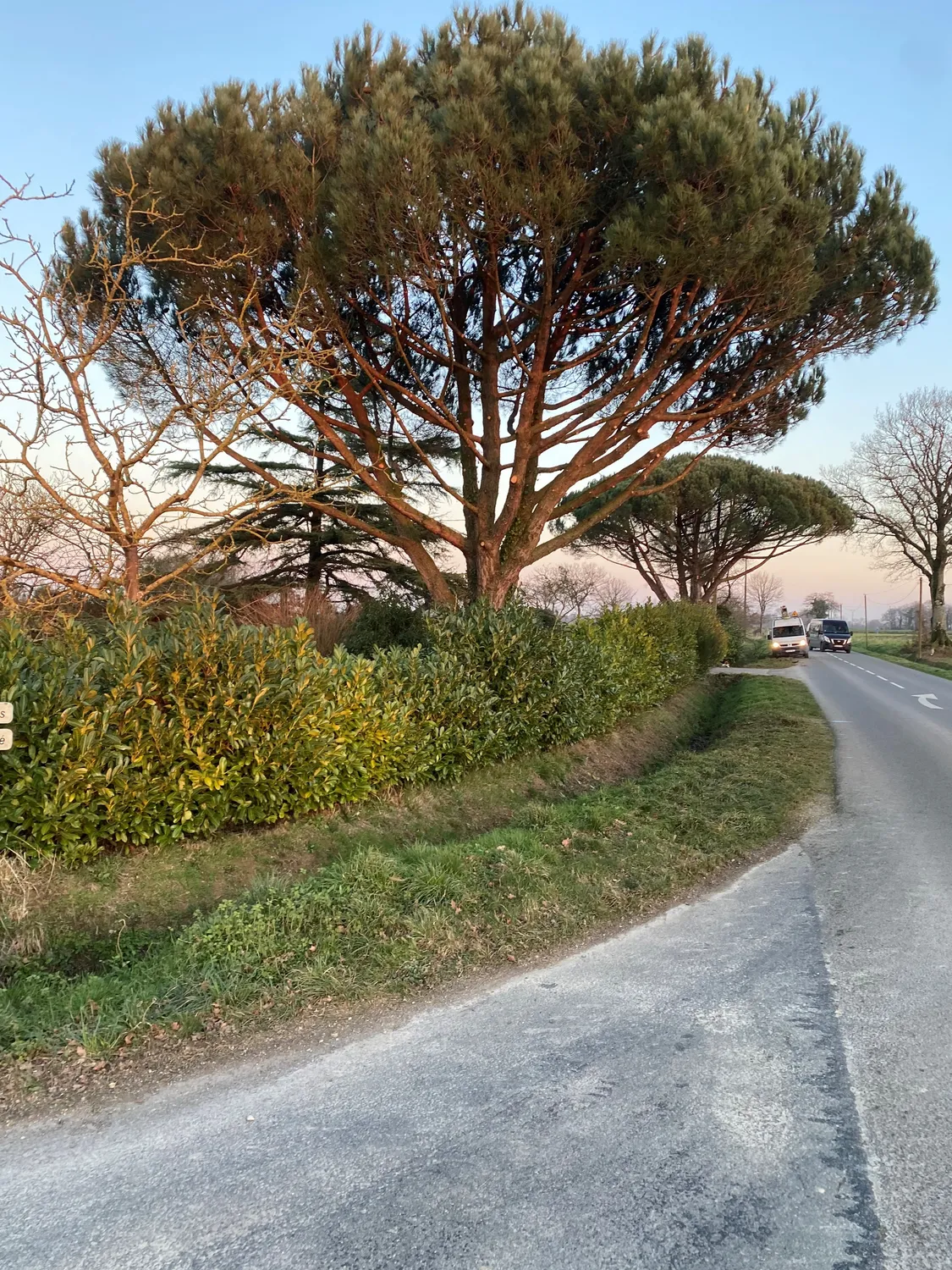 after-image