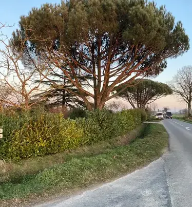 location bennes Bréal-3
