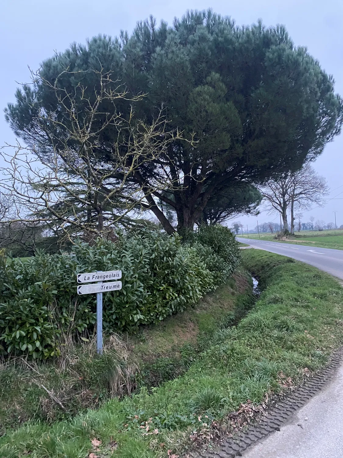 before-image