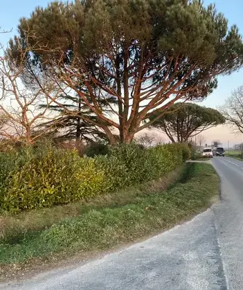 location bennes Bréal sous Montfort-3