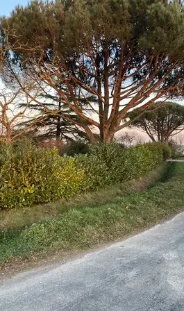 location bennes Maure de Bretagne-3