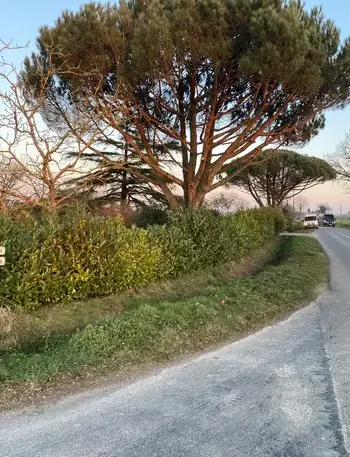 maçonnerie paysagère Bréal-1