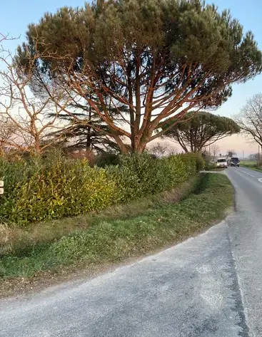 maçonnerie paysagère Bréal sous Montfort-2