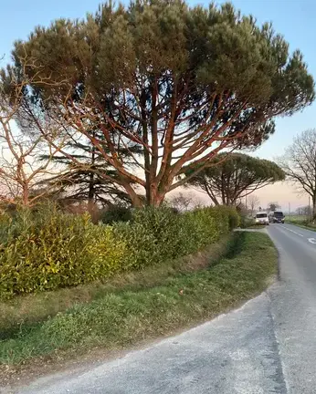maçonnerie paysagère Bruz-5