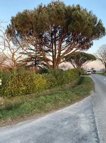 maçonnerie paysagère Lassy-4