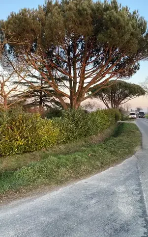 maçonnerie paysagère Maure de Bretagne-1