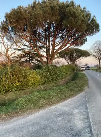 maçonnerie paysagère Plélan-5