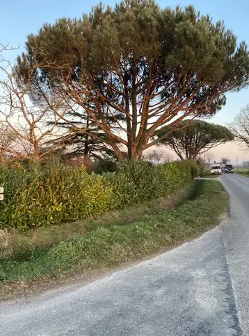 petite maçonnerie Bréal-3