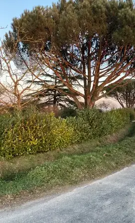 petite maçonnerie Guichen-1