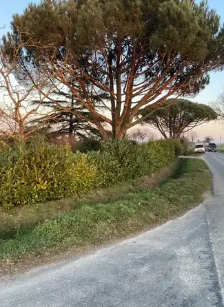 petite maçonnerie Plélan-3